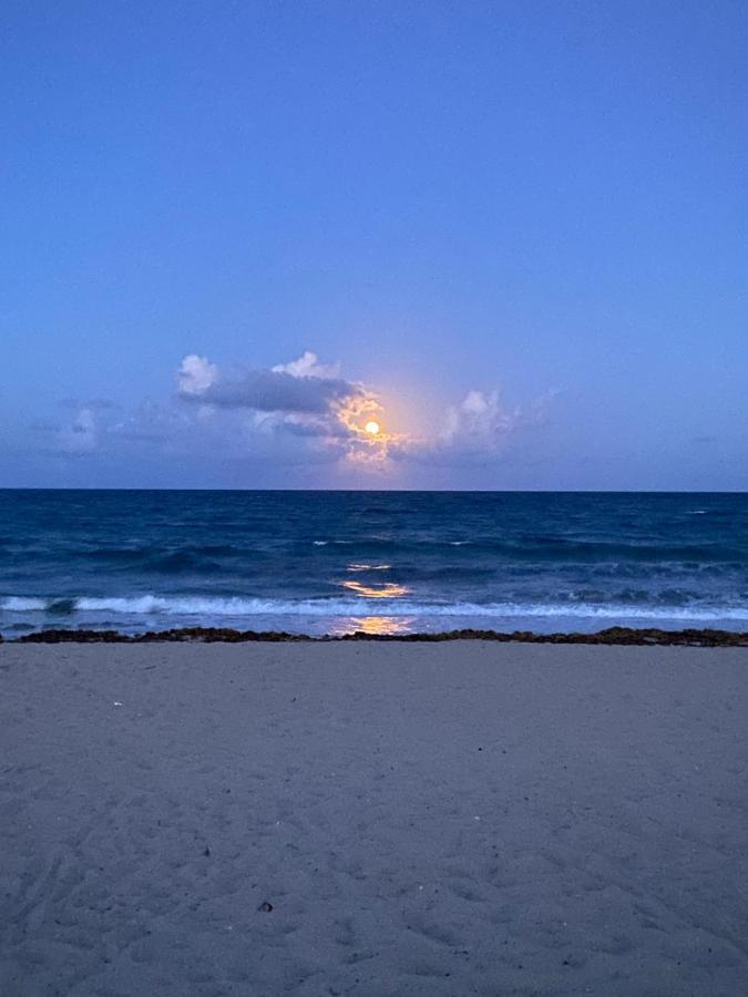 Cozy Studio Near Atlantic Ave W/Private Patio Apartment Delray Beach Ngoại thất bức ảnh